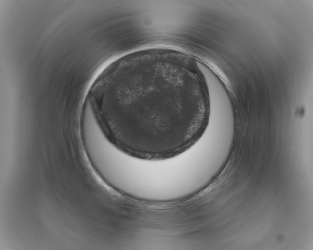 X0000094441484200711291624