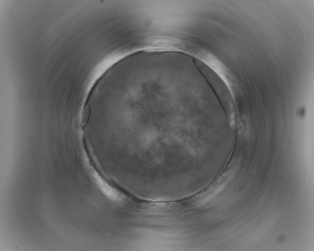 X0000094441485200711291624