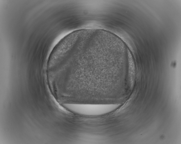 X0000094441486200711291624