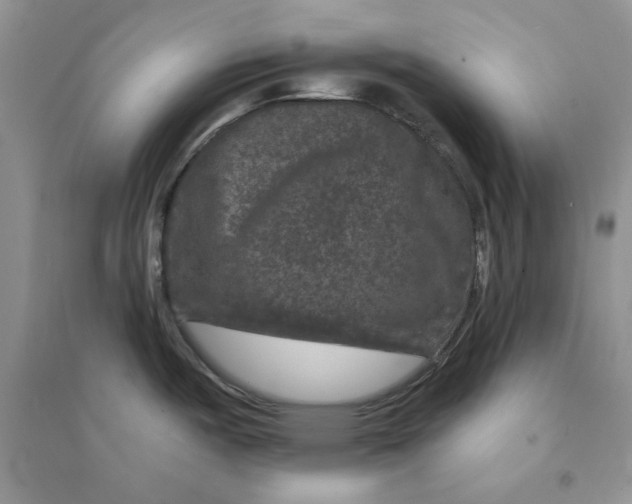 X0000094441487200711291624