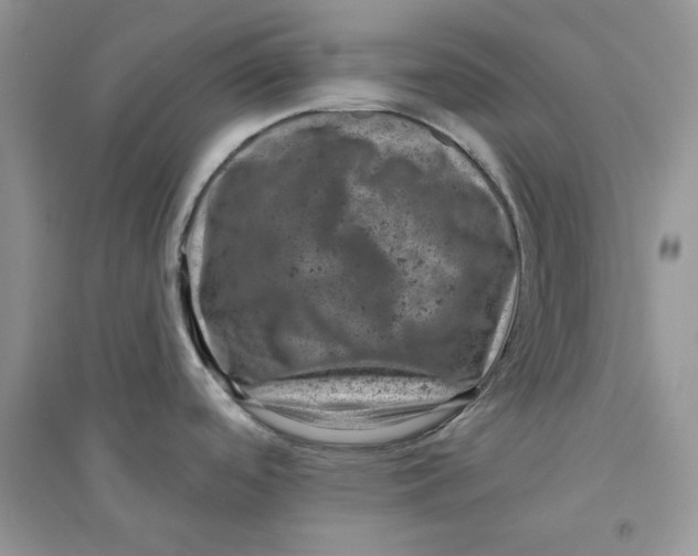 X0000094441488200711291624