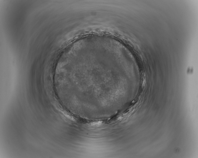 X0000094441489200711291623