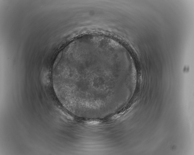 X0000094441490200711291623