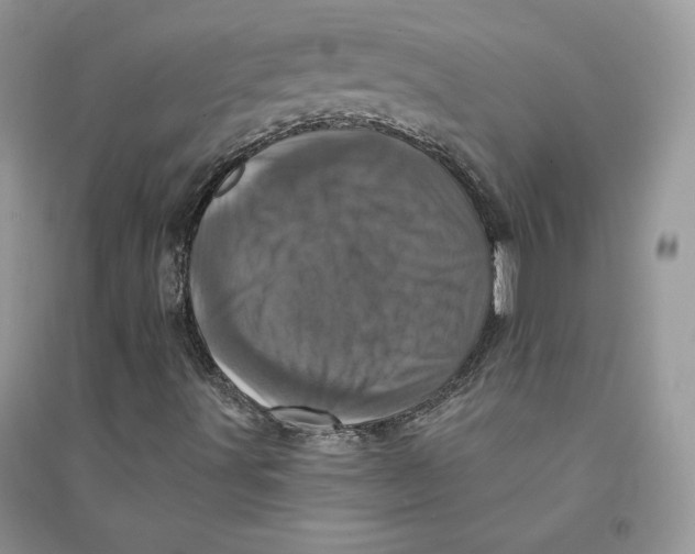 X0000094441491200711291623