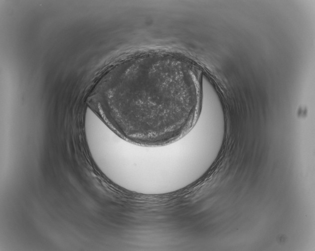 X0000094441492200711291623