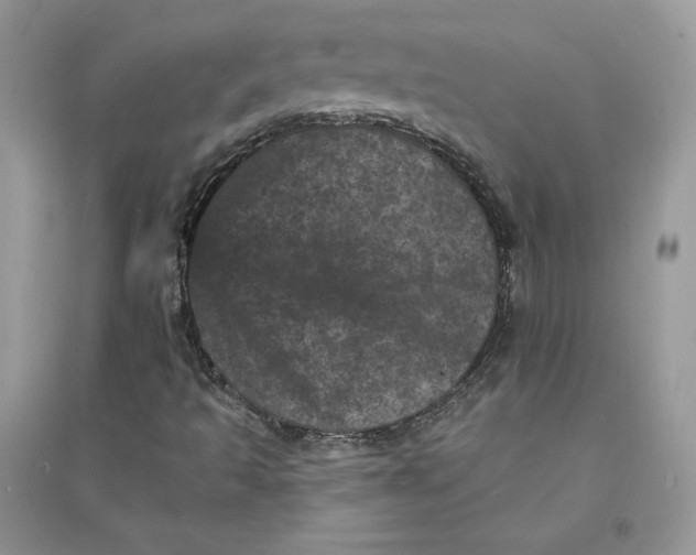 X0000094441493200711291623