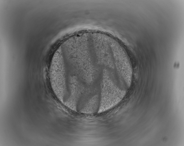 X0000094441495200711291623