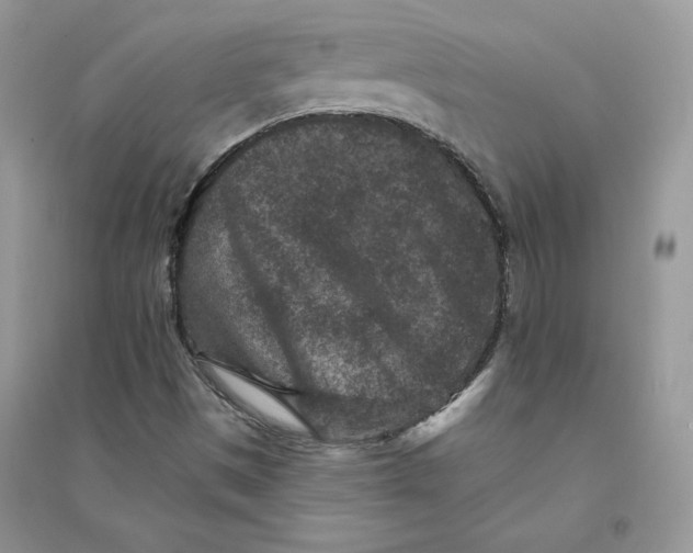 X0000094441497200711291623