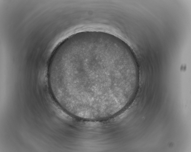 X0000094441498200711291623