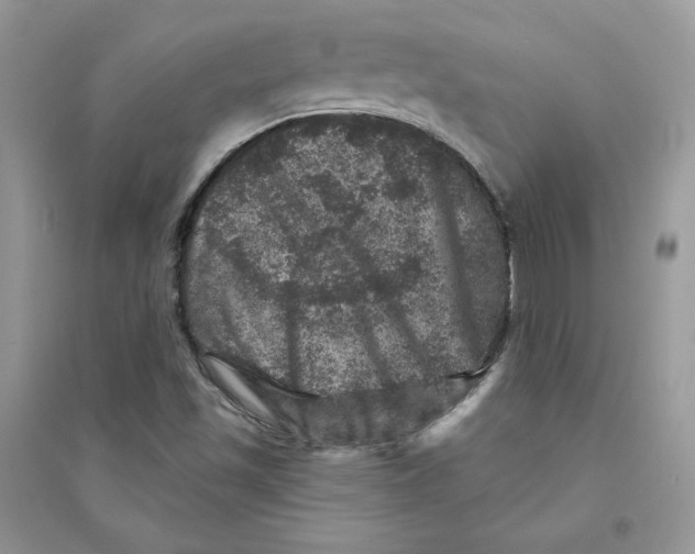 X0000094441501200711291623