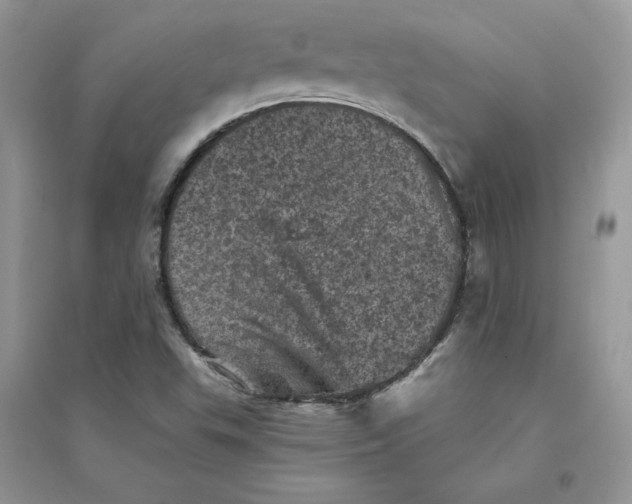 X0000094441503200711291623