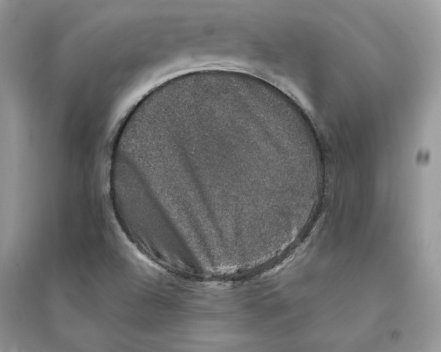 X0000094441504200711291623