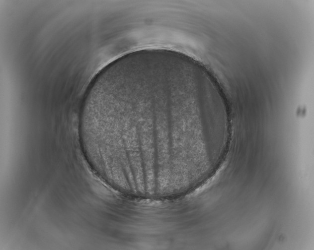 X0000094441505200711291623