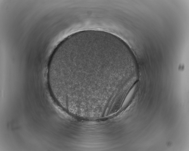 X0000094441507200711291623