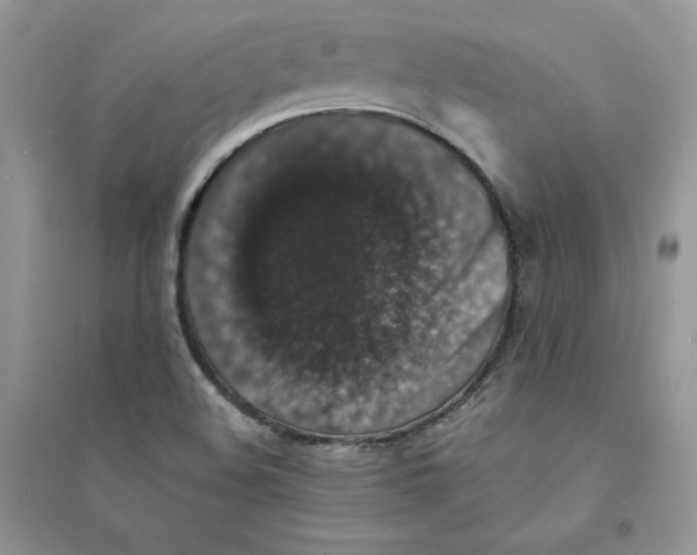 X0000094441508200711291623