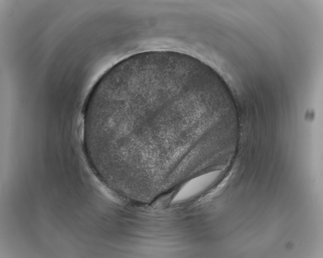 X0000094441509200711291623