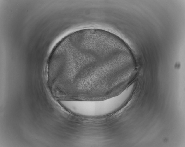 X0000094441510200711291623