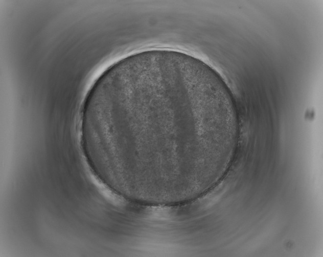 X0000094441511200711291623