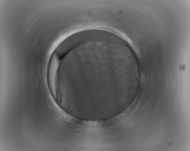 X0000094441512200711291623