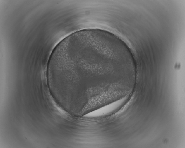 X0000094441513200711291623