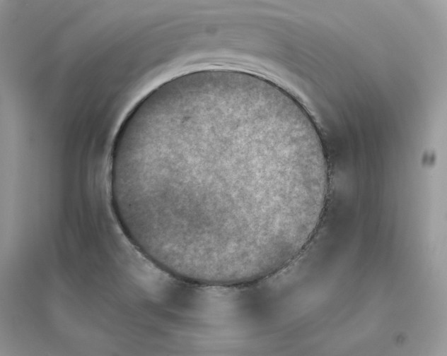 X0000094441514200711291623