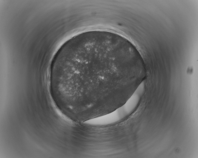 X0000094441515200711291623