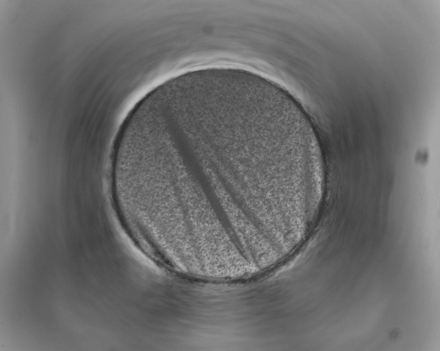 X0000094441518200711291623