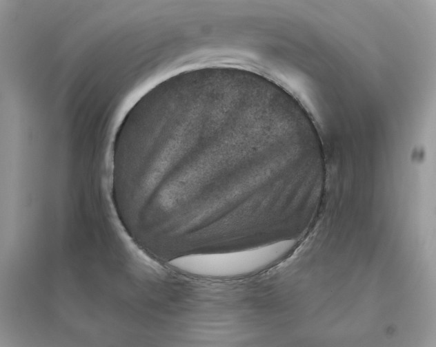 X0000094441520200711291624