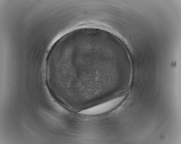 X0000094441522200711291624