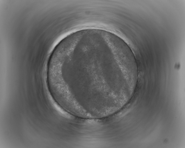 X0000094441523200711291624