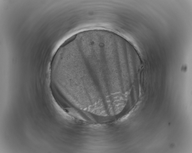 X0000094441524200711291624