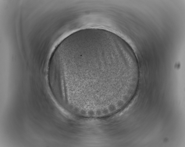 X0000094441525200711291624