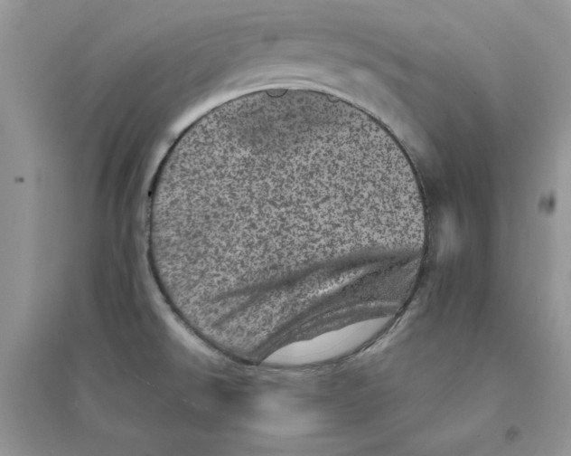 X0000094441526200711291624