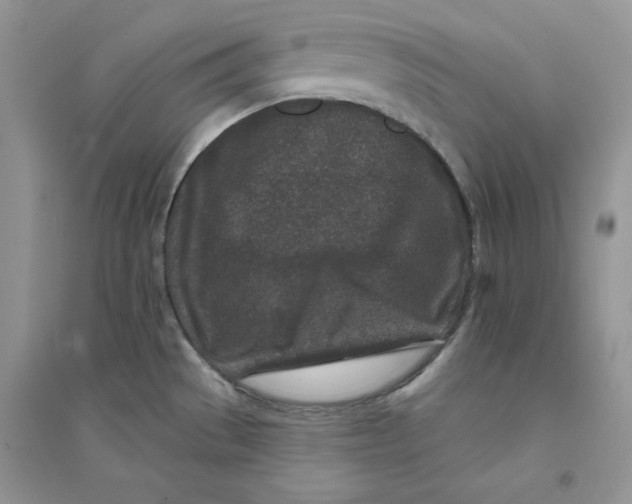 X0000094441529200711291624