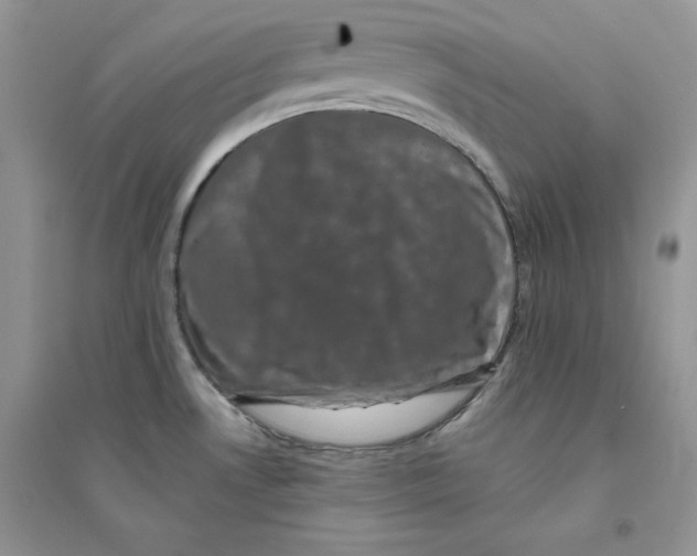 X0000094441530200711291624