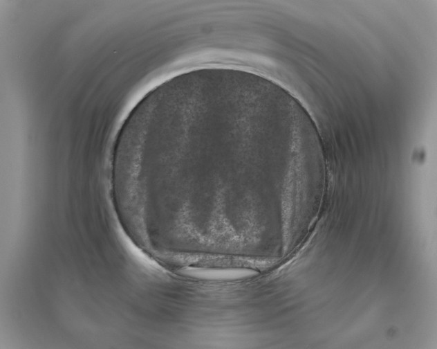 X0000094441531200711291624