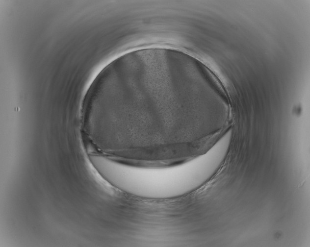 X0000094441532200711291624