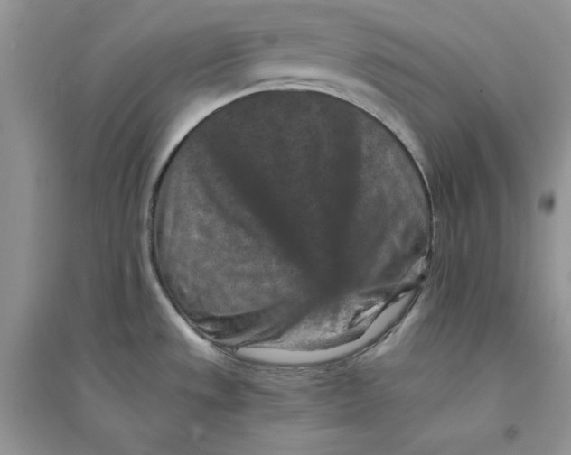 X0000094441533200711291624