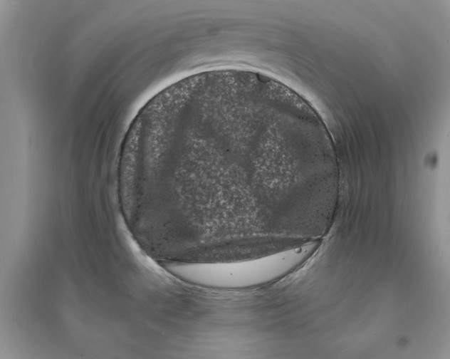 X0000094441534200711291624