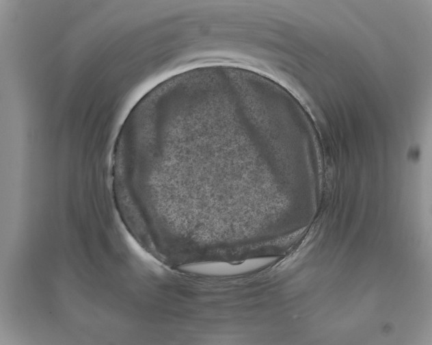 X0000094441535200711291624