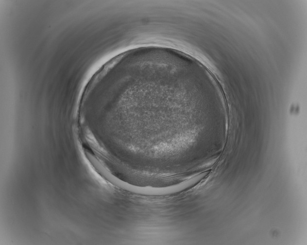 X0000094441536200711291624