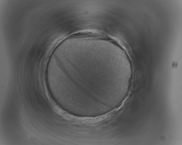 X0000094440001200712061148