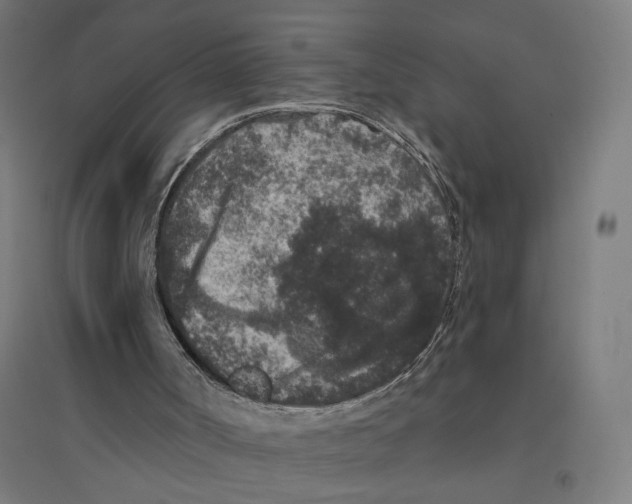 X0000094440002200712061148