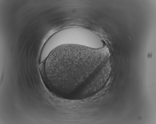 X0000094440003200712061148