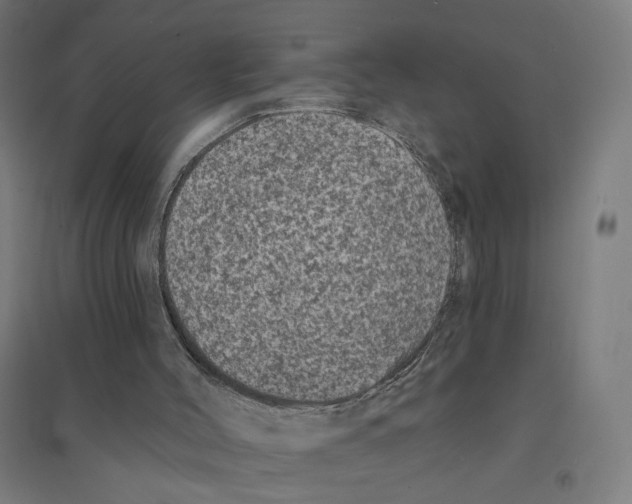 X0000094440004200712061148