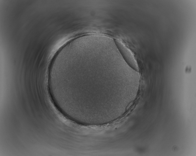 X0000094440005200712061148