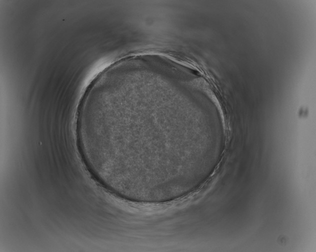 X0000094440006200712061148