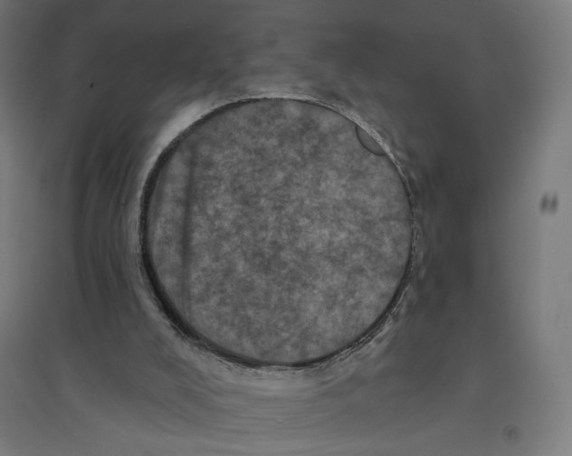 X0000094440008200712061148