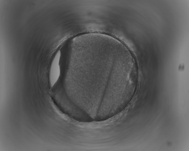 X0000094440009200712061148