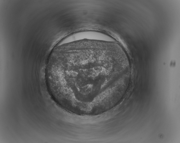 X0000094440010200712061148